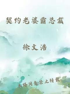 契约老婆霸总裁