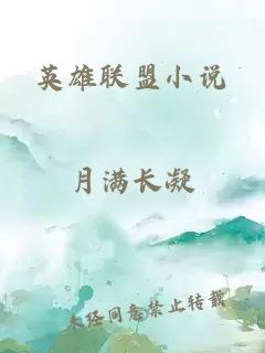 英雄联盟小说