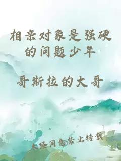 相亲对象是强硬的问题少年