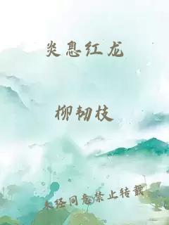 炎息红龙
