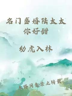 名门盛婚陆太太你好甜