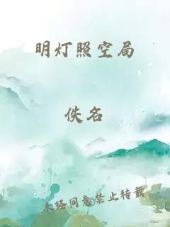 明灯照空局