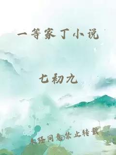一等家丁小说