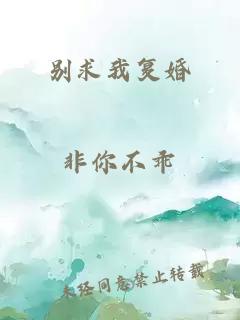 别求我复婚